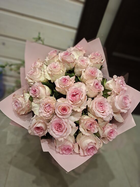 Ekvadoras rozes "Mandala"